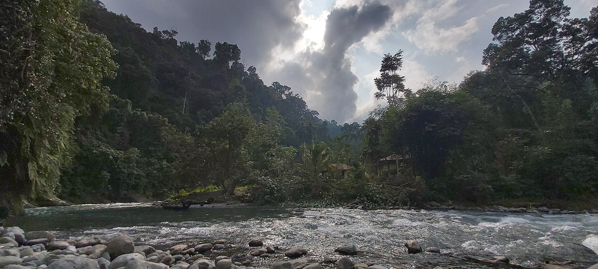 Jalur hutan tropis di kawasan Bukit Lawang