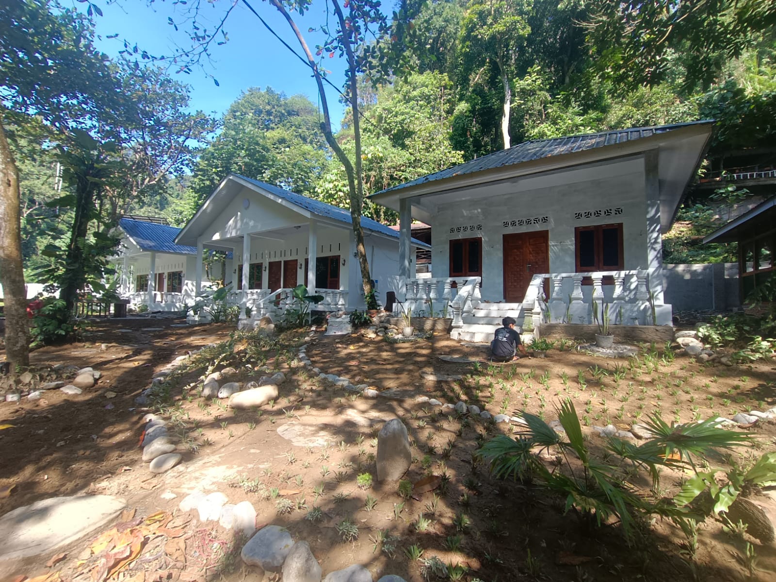 Bangunan akomodasi Heritage di area hijau Bukit Lawang